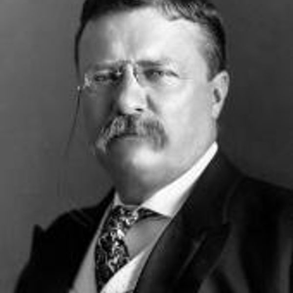 Theodore Roosevelt